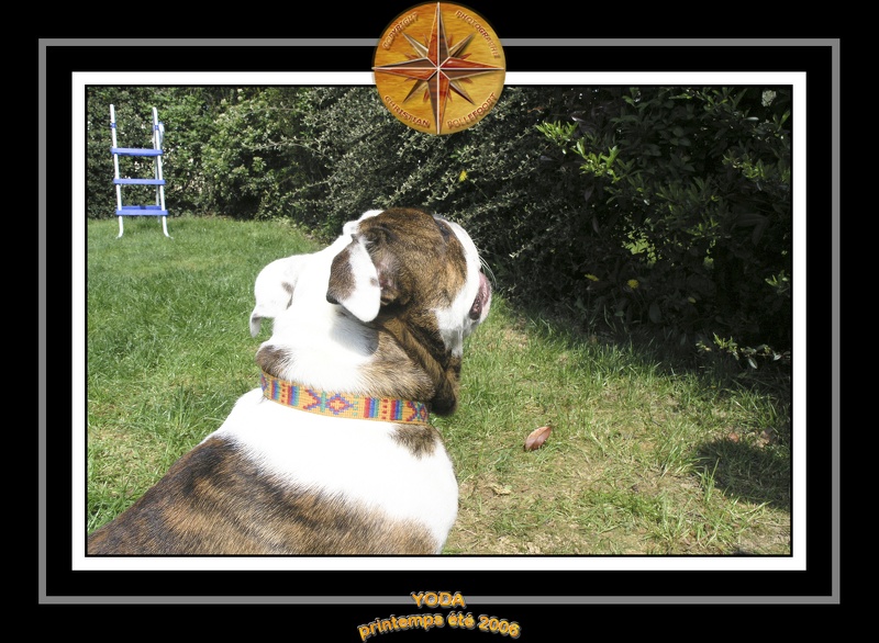 Yoda 2006 Jardin 024
