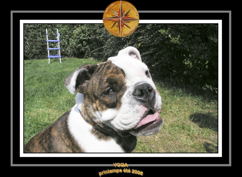Yoda 2006 Jardin 025