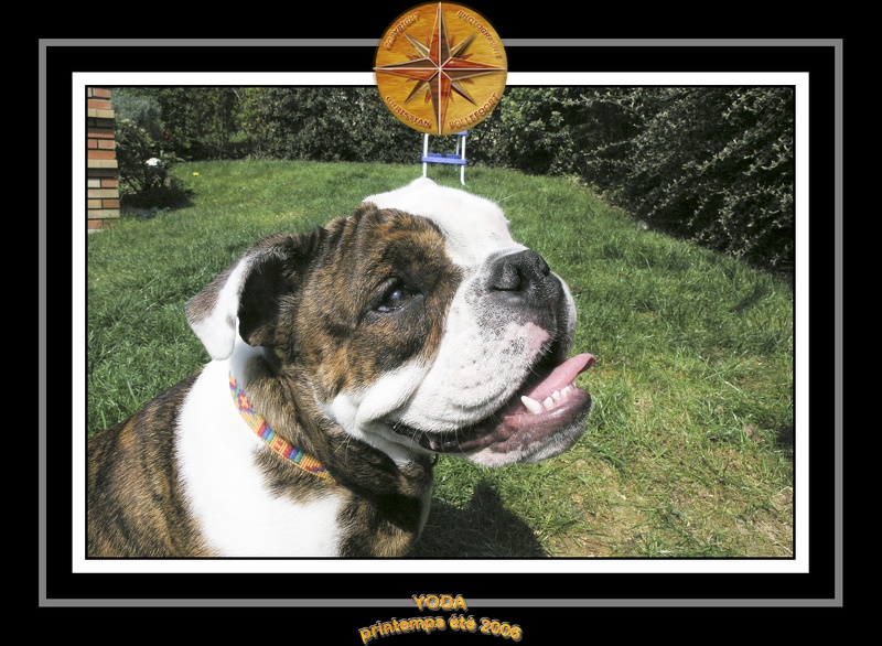 Yoda 2006 Jardin 026