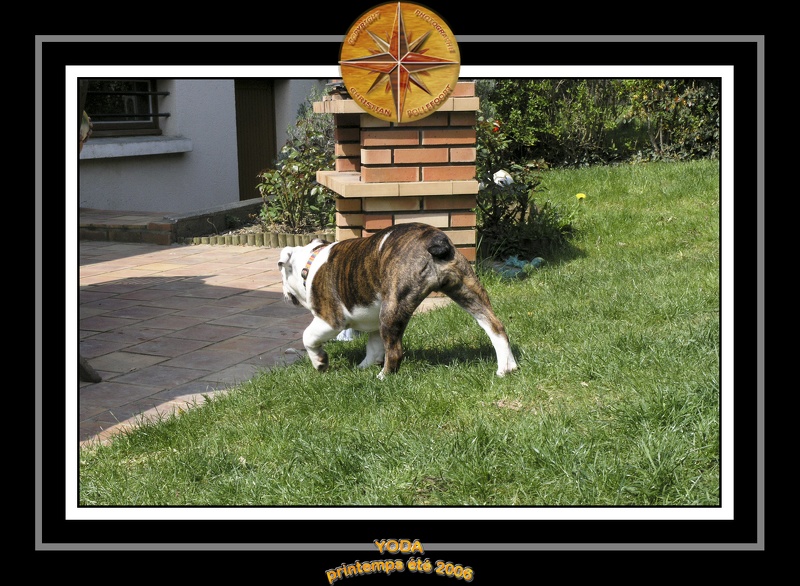 Yoda 2006 Jardin 028