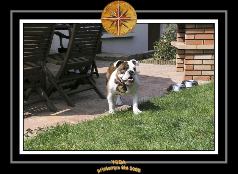 Yoda 2006 Jardin 029