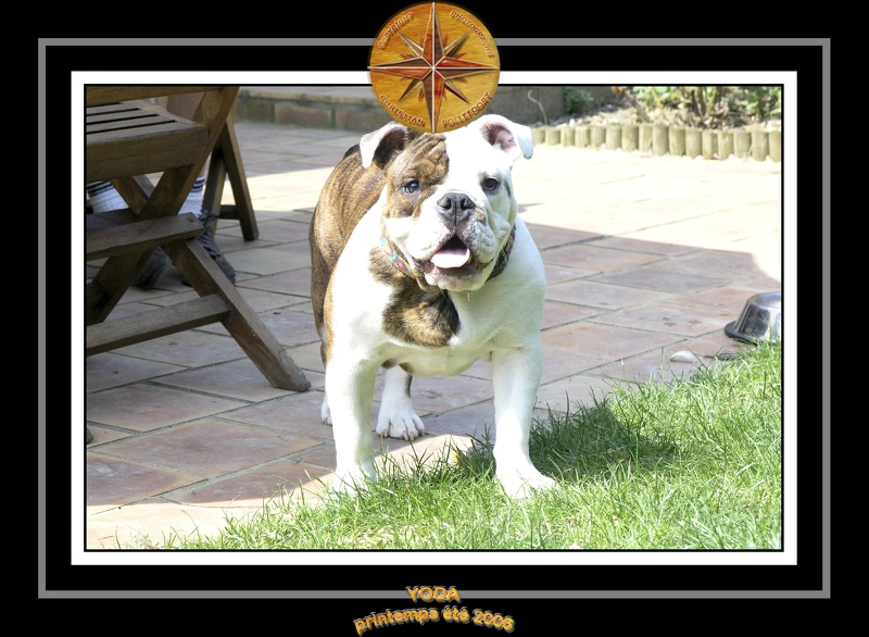 Yoda 2006 Jardin 030