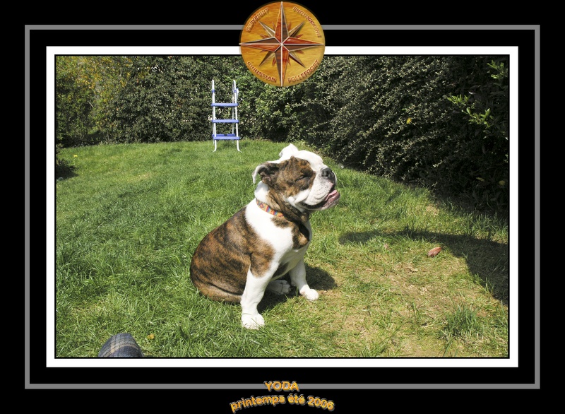 Yoda 2006 Jardin 031