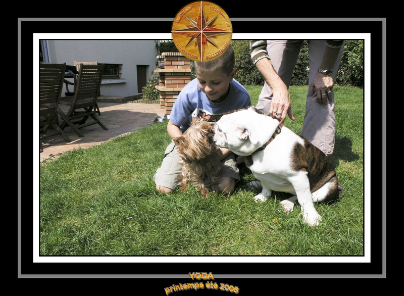 Yoda 2006 Jardin 032