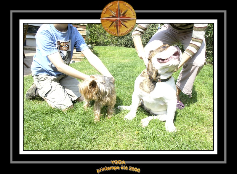 Yoda 2006 Jardin 033