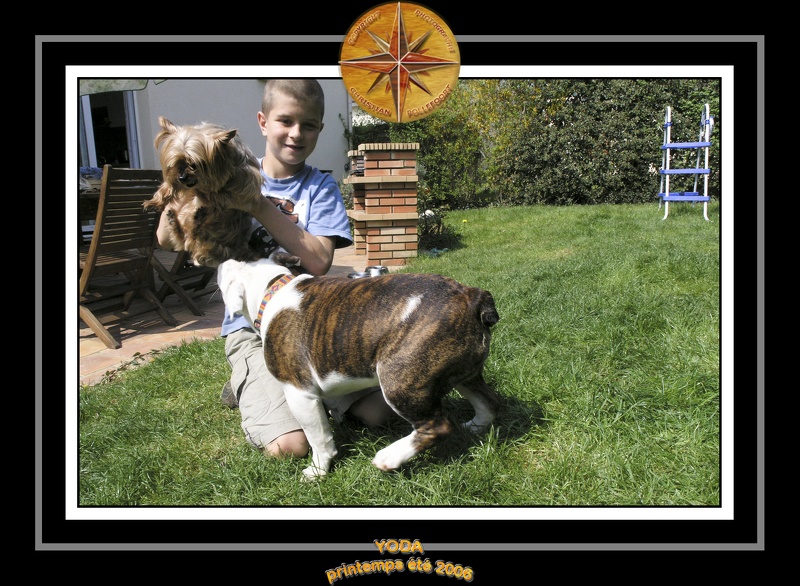 Yoda 2006 Jardin 034