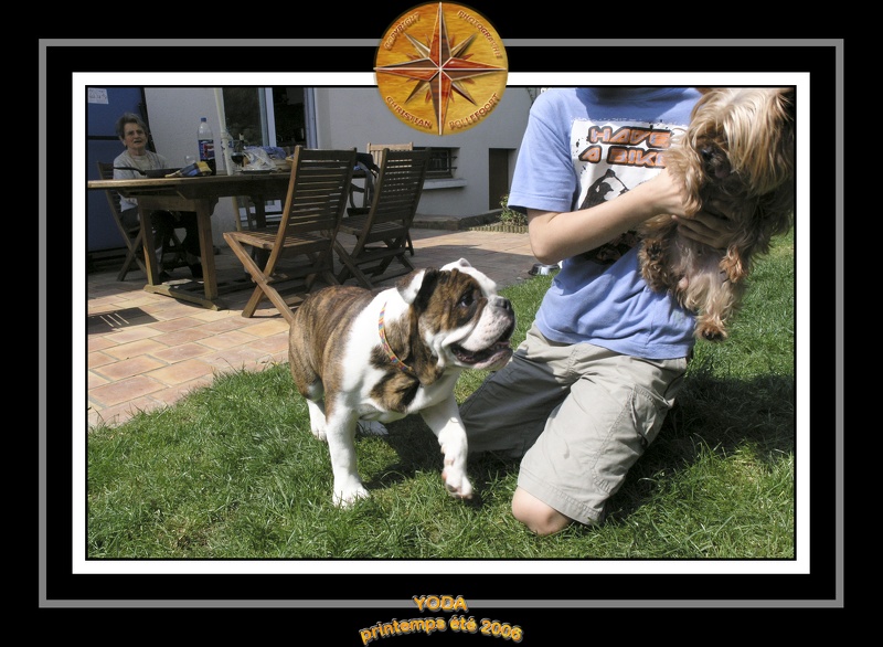 Yoda 2006 Jardin 035