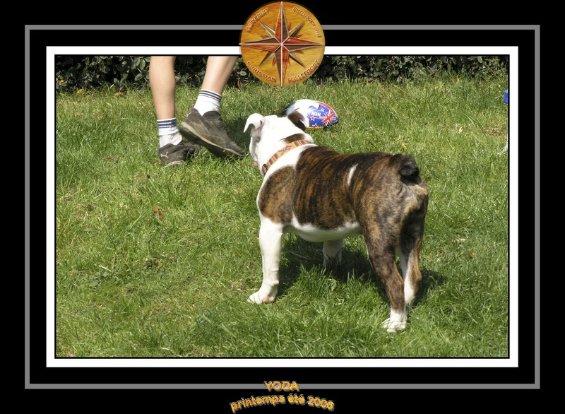 Yoda 2006 Jardin 036