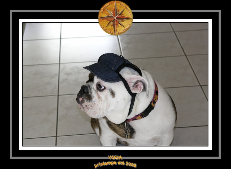 Yoda 2006 Jardin 037