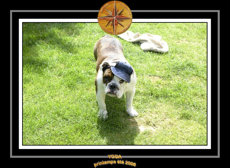 Yoda 2006 Jardin 040