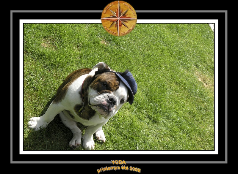 Yoda 2006 Jardin 042