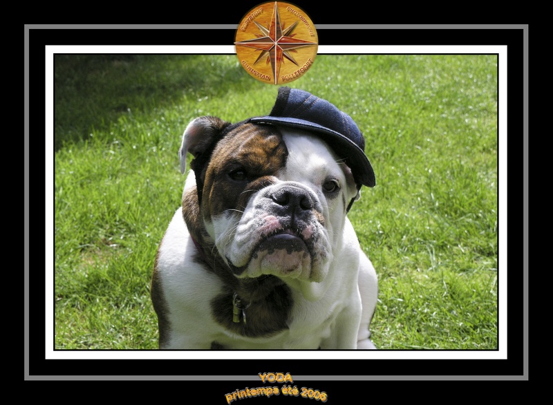 Yoda 2006 Jardin 043