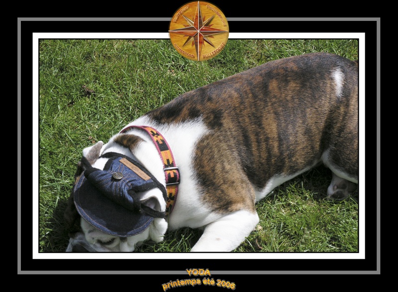 Yoda 2006 Jardin 044