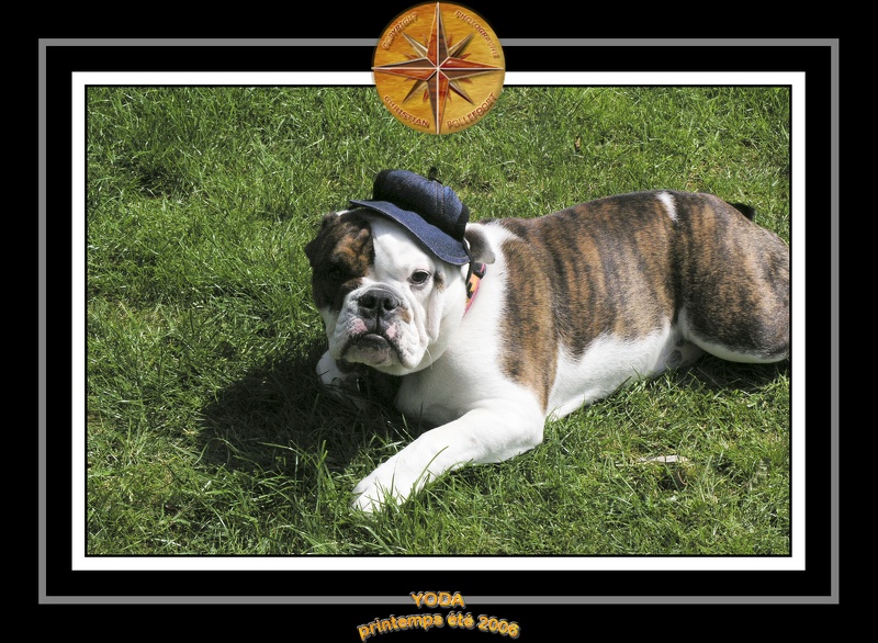 Yoda 2006 Jardin 045