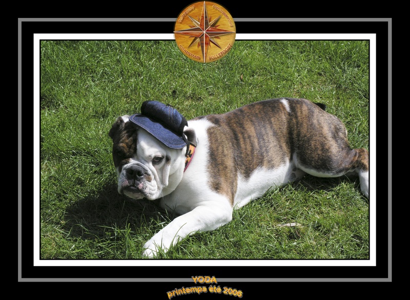 Yoda 2006 Jardin 046