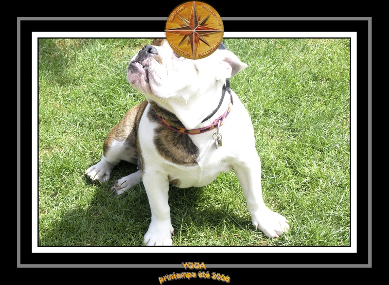 Yoda 2006 Jardin 048