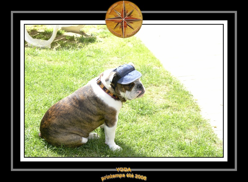 Yoda 2006 Jardin 049