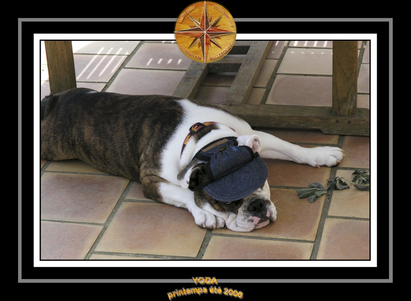 Yoda 2006 Jardin 050