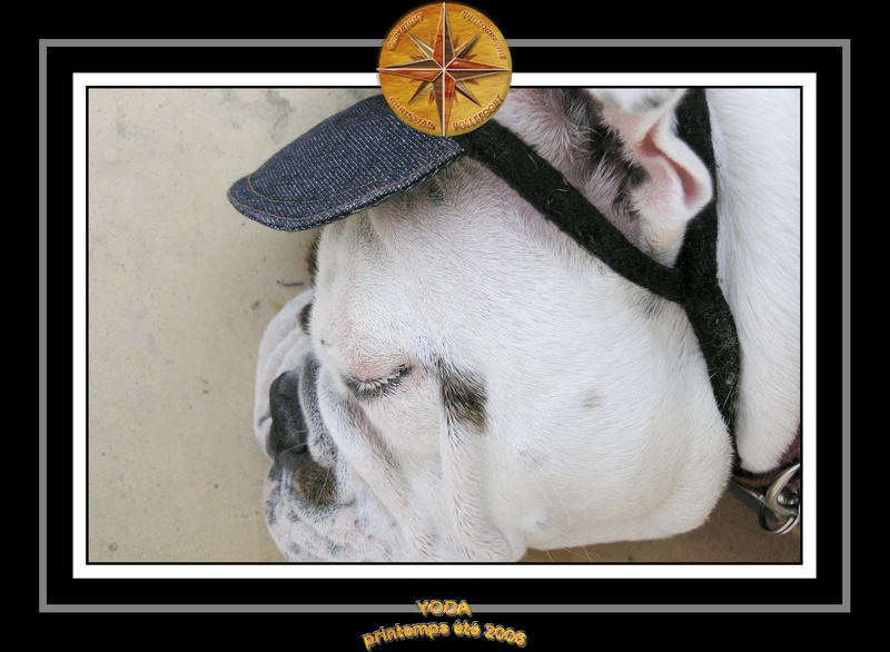 Yoda 2006 Jardin 051