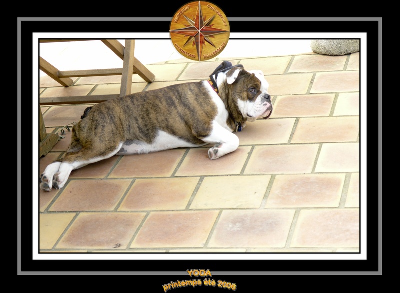 Yoda 2006 Jardin 052