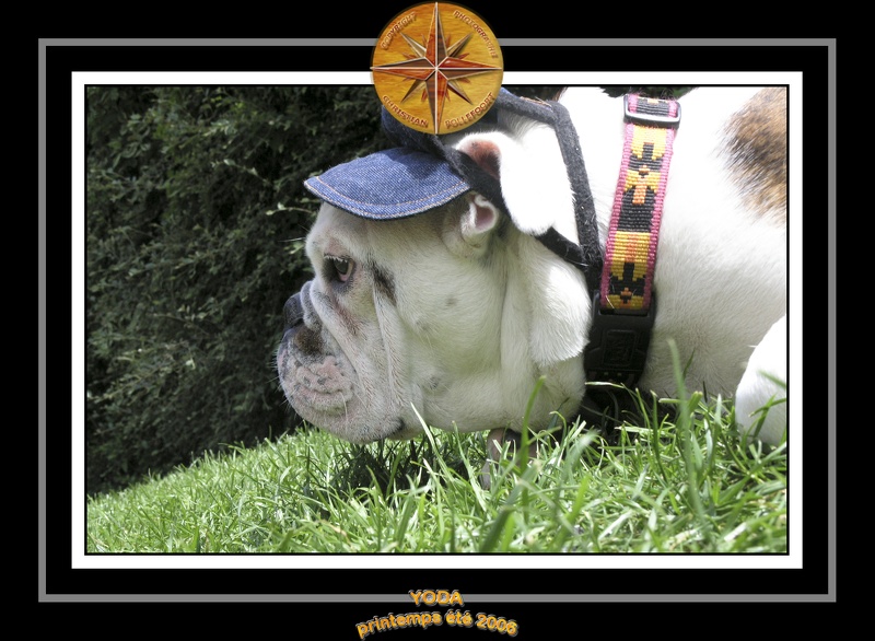 Yoda 2006 Jardin 056