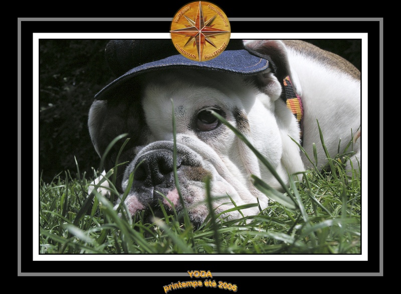 Yoda 2006 Jardin 057