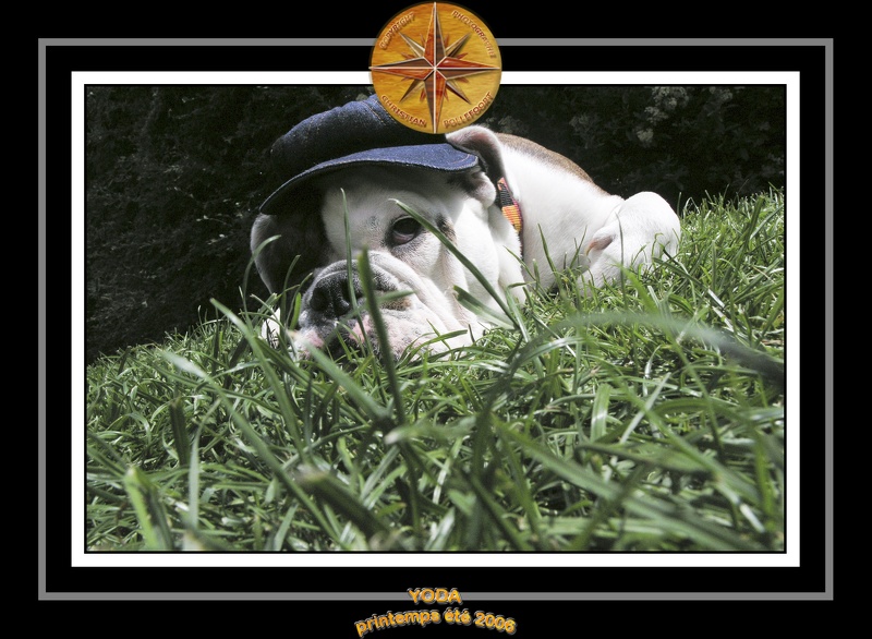 Yoda 2006 Jardin 058