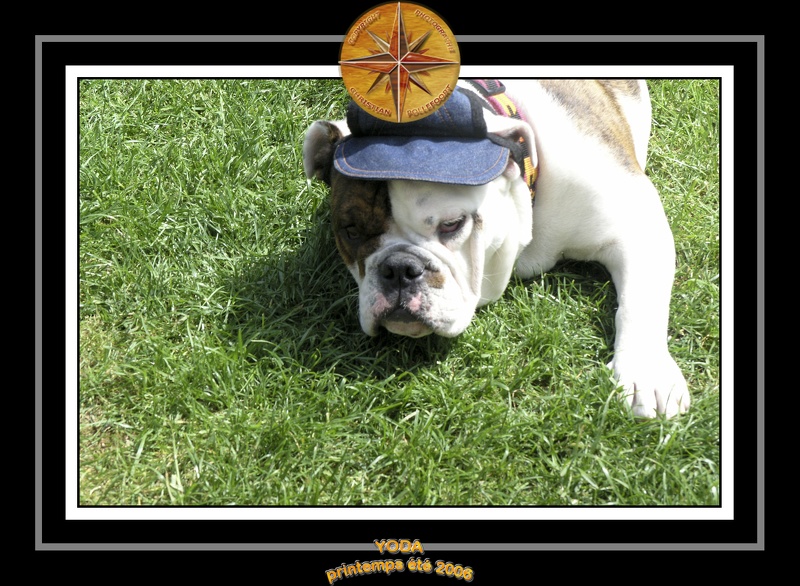Yoda 2006 Jardin 059