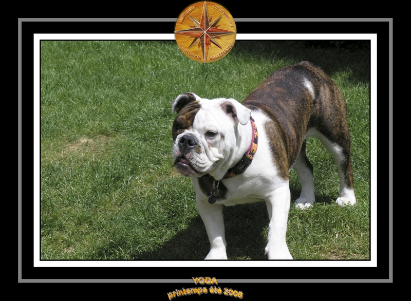 Yoda 2006 Jardin 060