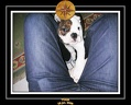 Yoda 2006 Maison 006