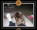 Yoda 2006 Maison 023