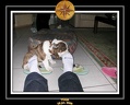 Yoda 2006 Maison 025