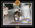 Yoda 2006 Maison 034
