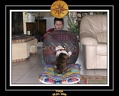 Yoda 2006 Maison 043