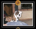 Yoda 2006 Maison 050