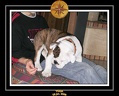 Yoda 2006 Maison 051
