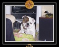 Yoda 2006 Maison 054