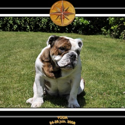 Yoda 2008 Jardin