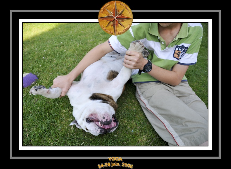 Yoda 2008 Jardin 019