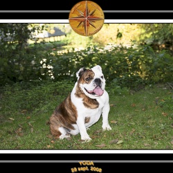 Yoda 2008 Promenade