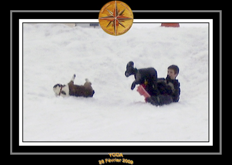 Yoda 2009 Au Ski 012
