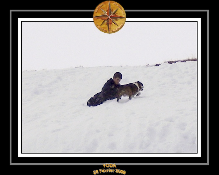 Yoda_2009_Au_Ski_015.jpg