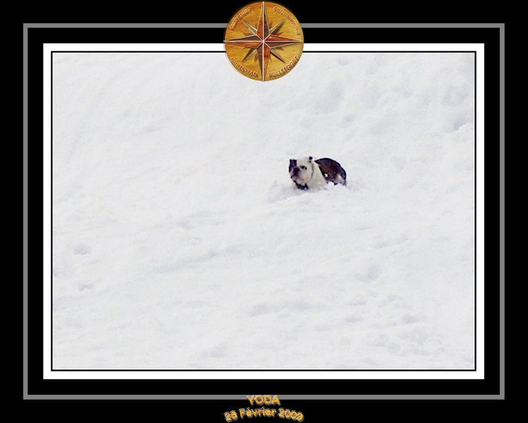 Yoda_2009_Au_Ski_016.jpg