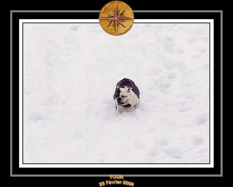 Yoda_2009_Au_Ski_017.jpg
