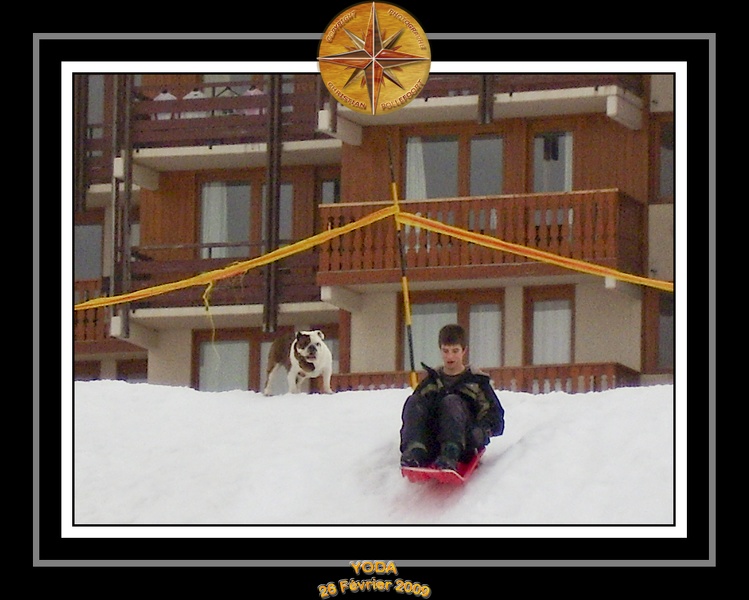 Yoda_2009_Au_Ski_020.jpg