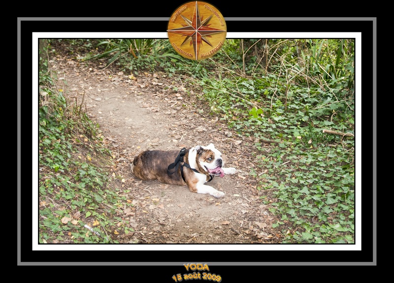 Yoda 2009 Ballade Cancale 002