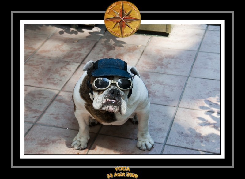 Yoda 2009 La Baule 008