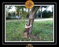 En promenade 01