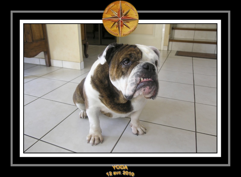 Yoda 2010 Seance photo maison 013