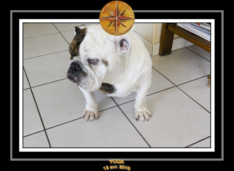 Yoda 2010 Seance photo maison 019